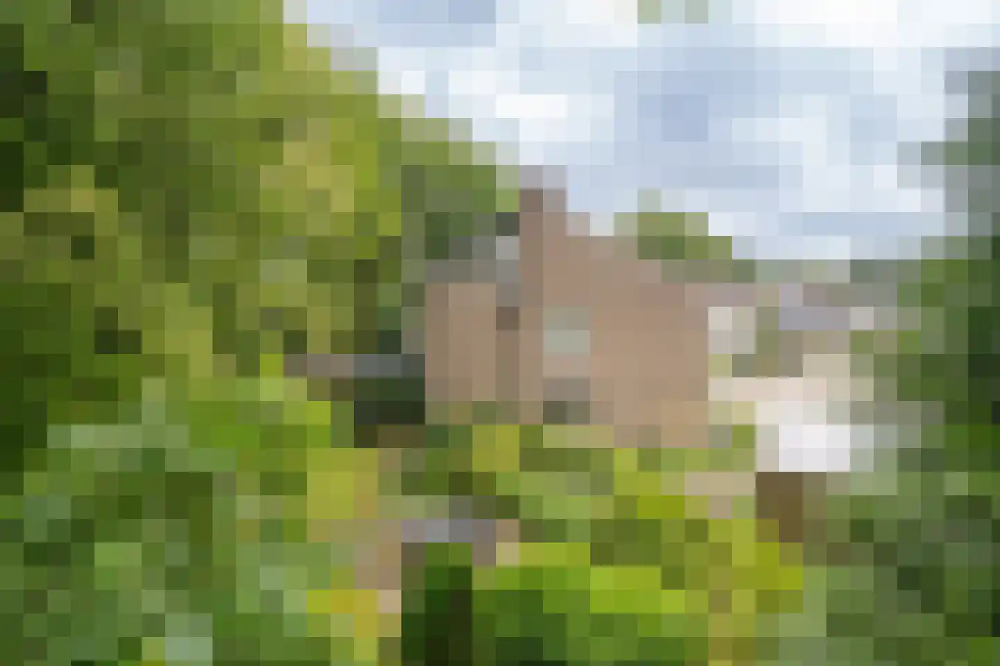 Bretelerhorst 7 Enschede thumbnail 40