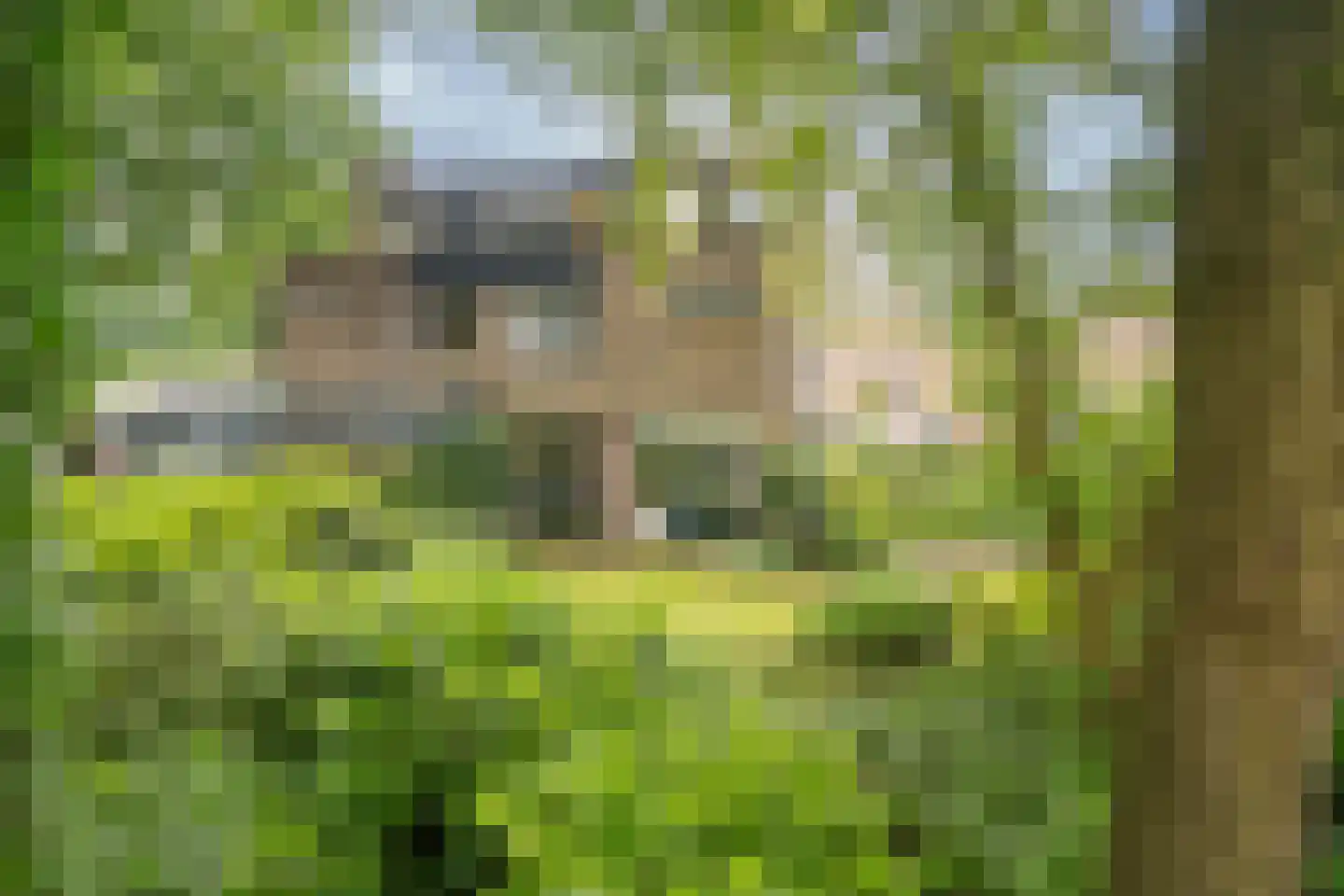 Bretelerhorst 7 Enschede thumbnail 42