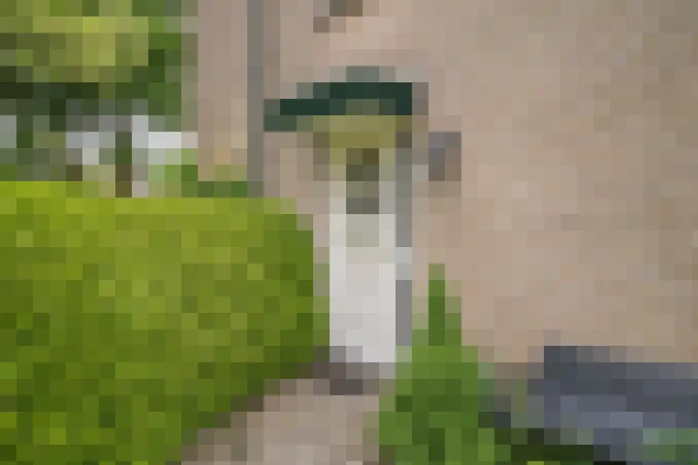 Bretelerhorst 7 Enschede thumbnail 7