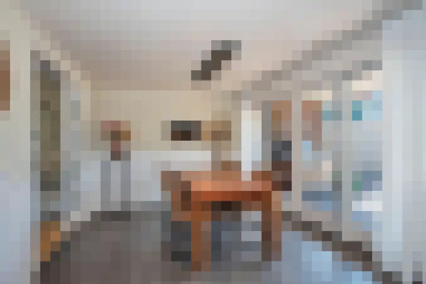 Bretelerstraat 6 Hengevelde thumbnail 15