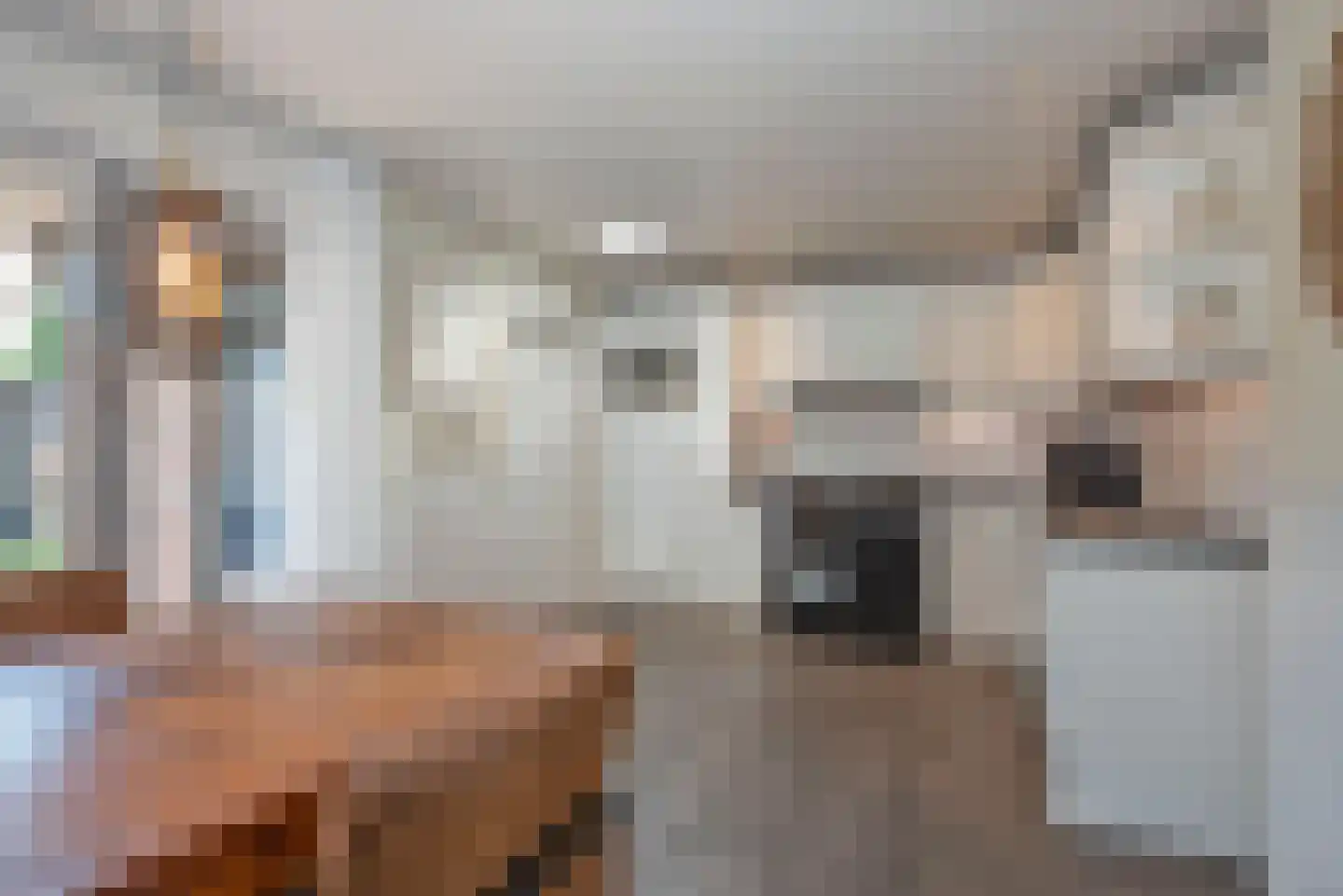 Bretelerstraat 6 Hengevelde thumbnail 18