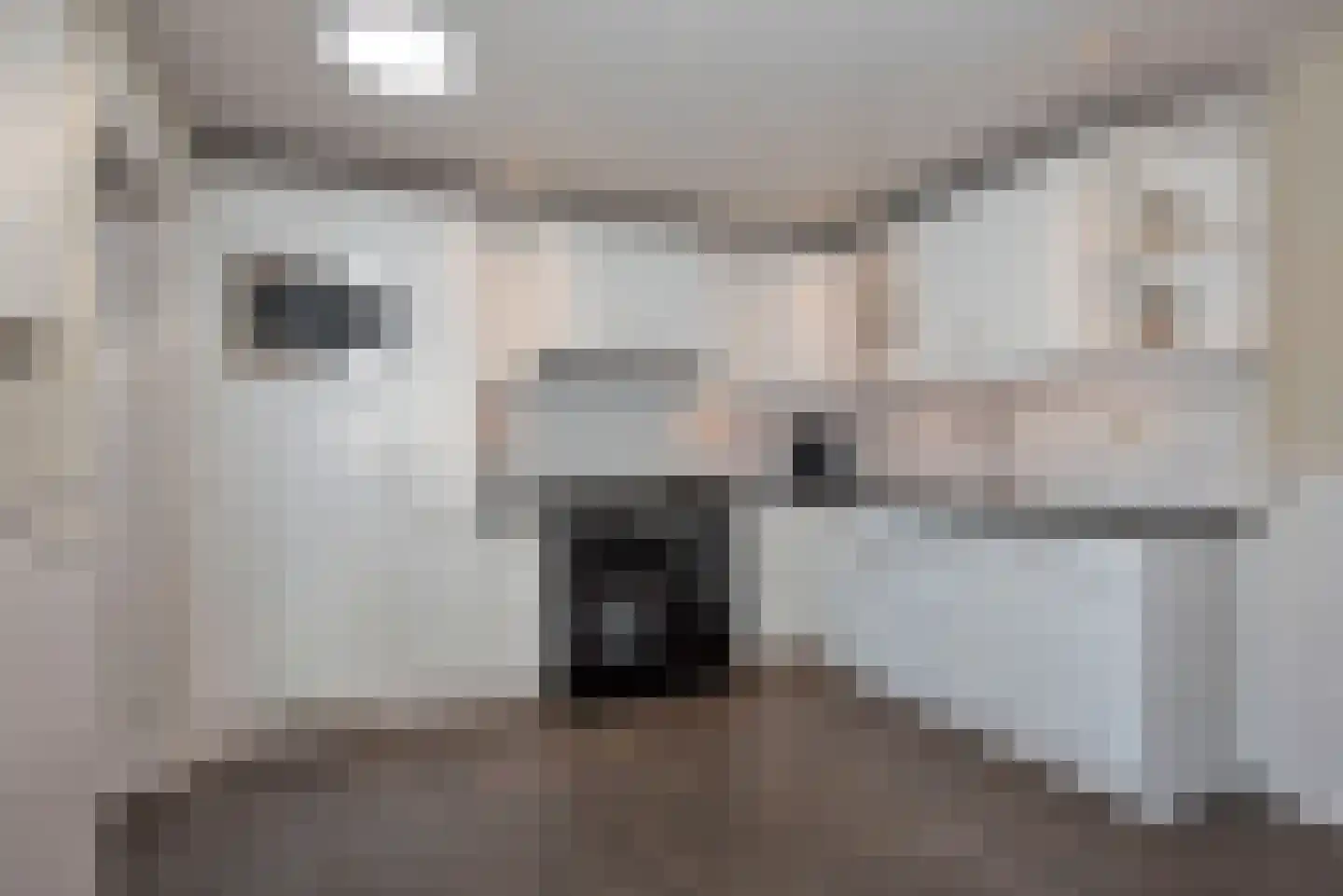 Bretelerstraat 6 Hengevelde thumbnail 19