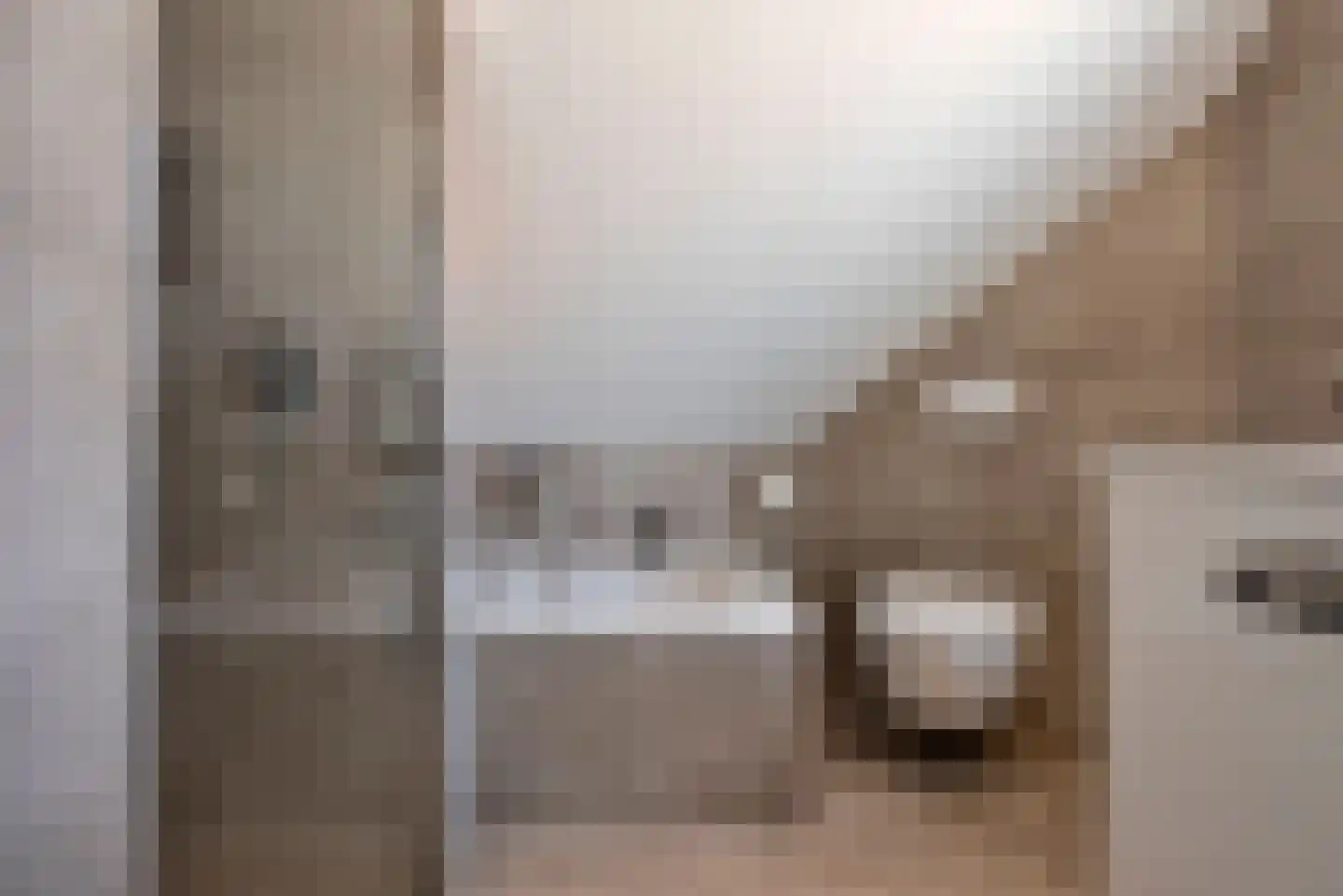 Bretelerstraat 6 Hengevelde thumbnail 28