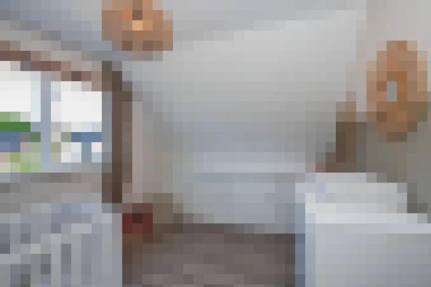 Bretelerstraat 6 Hengevelde thumbnail 33
