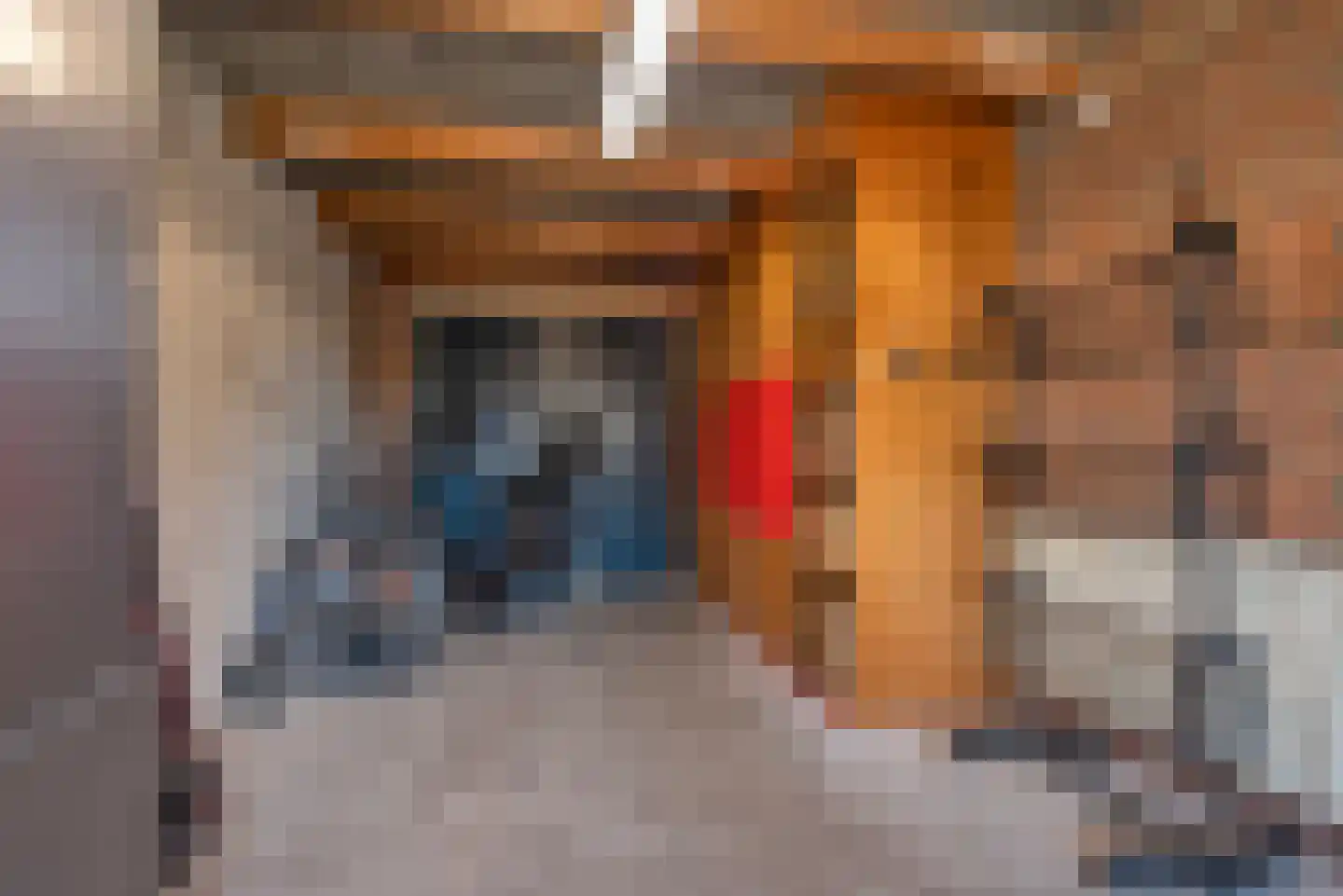 Bretelerstraat 6 Hengevelde thumbnail 43