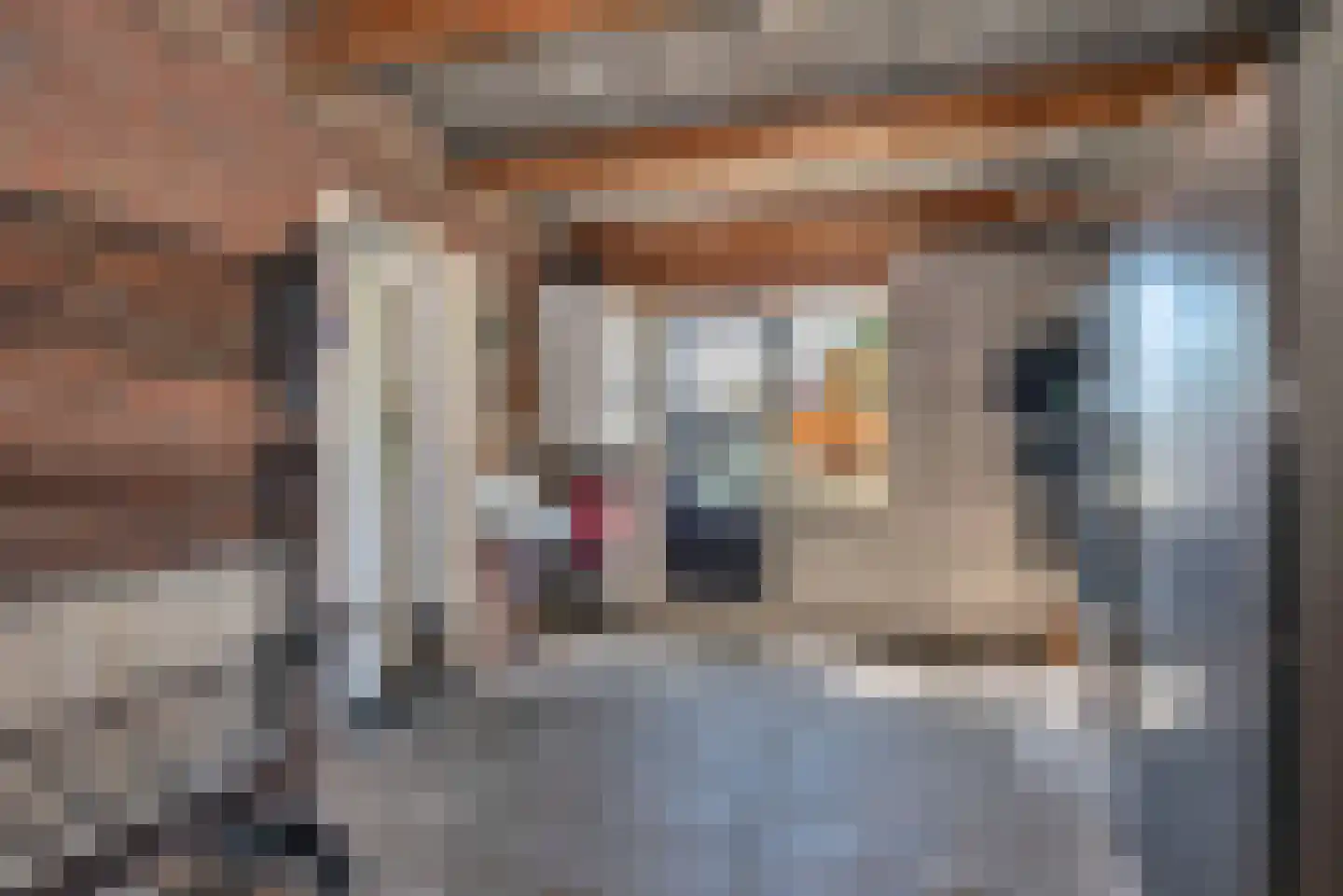 Bretelerstraat 6 Hengevelde thumbnail 44