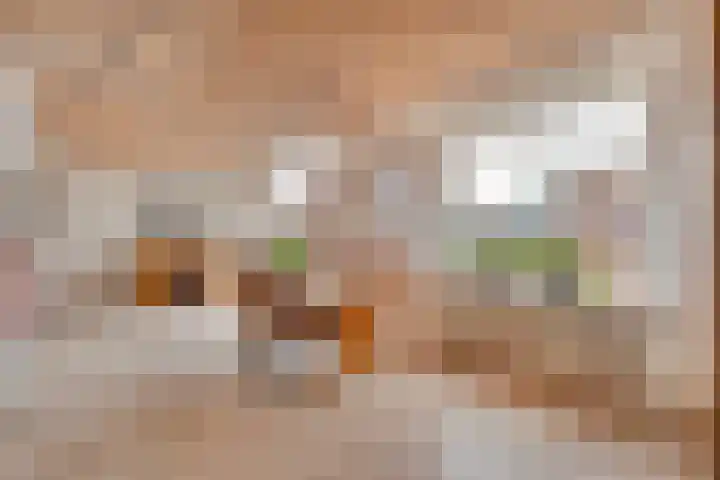 Brethouwerstraat 23 Dalfsen thumbnail 11