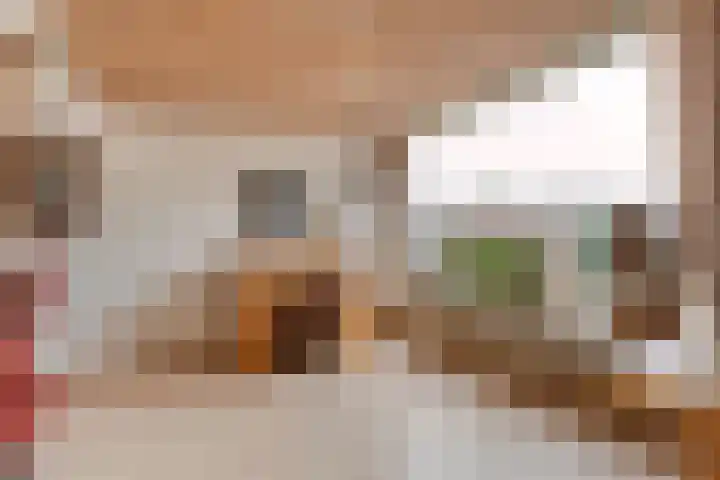 Brethouwerstraat 23 Dalfsen thumbnail 13