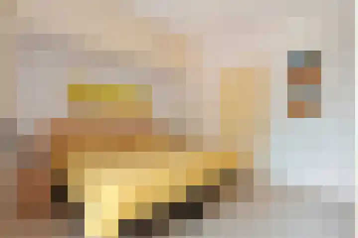 Brethouwerstraat 23 Dalfsen thumbnail 20