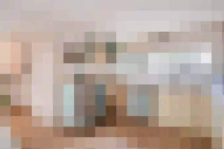 Brethouwerstraat 23 Dalfsen thumbnail 25