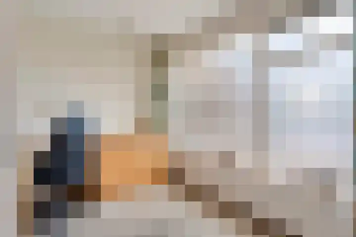 Brethouwerstraat 23 Dalfsen thumbnail 32
