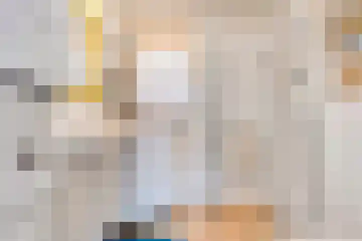 Brethouwerstraat 23 Dalfsen thumbnail 33