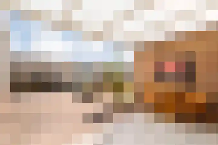 Brethouwerstraat 23 Dalfsen thumbnail 37