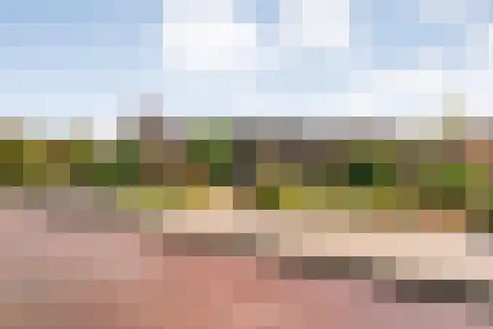 Brethouwerstraat 23 Dalfsen thumbnail 6