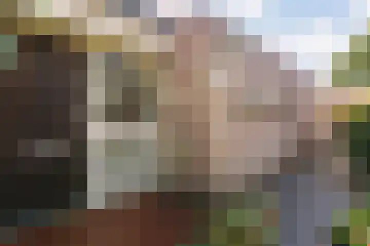 Brethouwerstraat 23 Dalfsen thumbnail 8