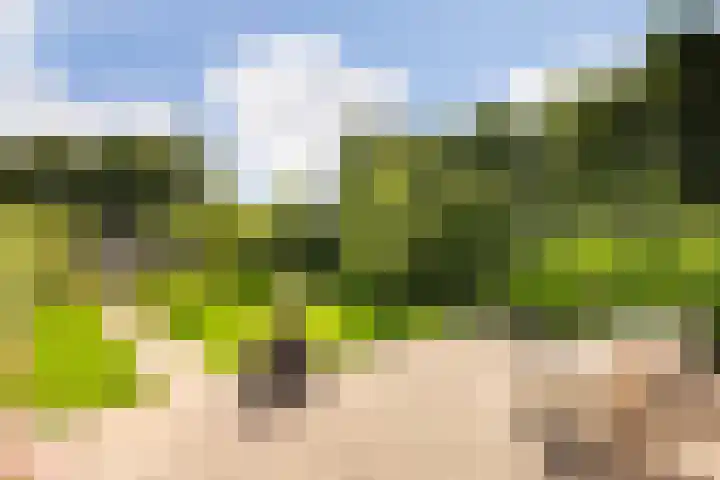 Breudijk 41 C Harmelen thumbnail 22