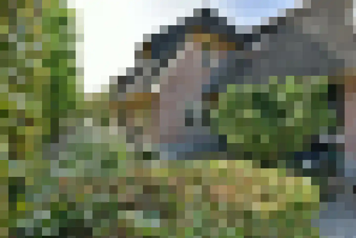 Breudijk 43 Harmelen thumbnail 64