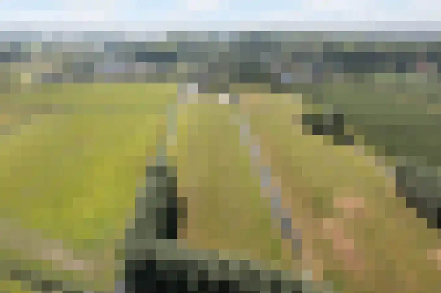 Breudijk 43 Harmelen thumbnail 81