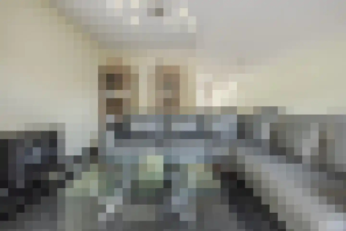 Breugelhof 15 Bosschenhoofd thumbnail 16