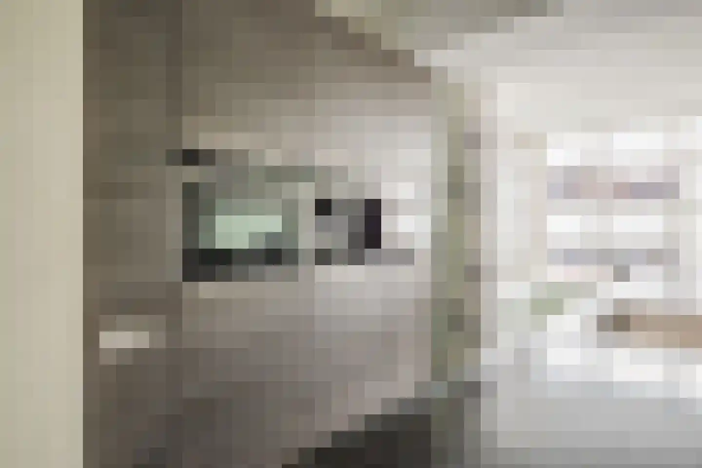 Breugelhof 15 Bosschenhoofd thumbnail 25
