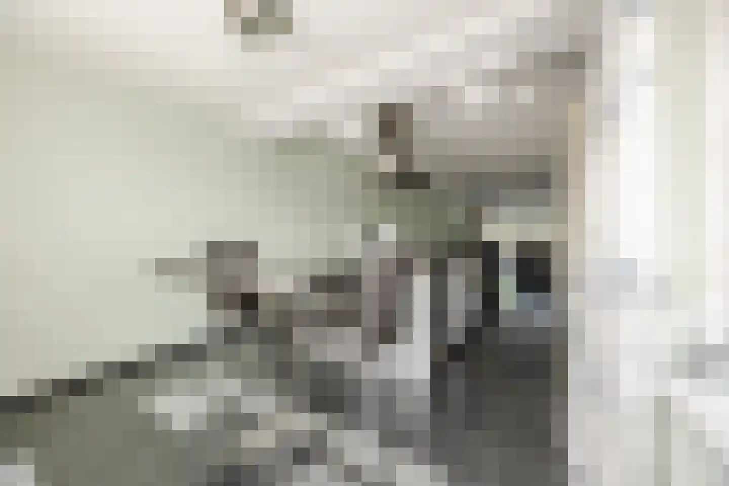 Breugelhof 15 Bosschenhoofd thumbnail 26