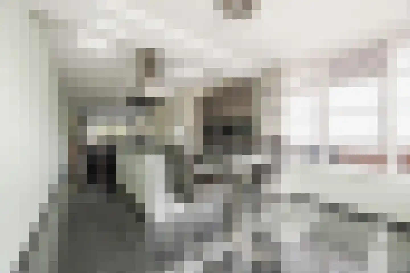 Breugelhof 15 Bosschenhoofd thumbnail 27