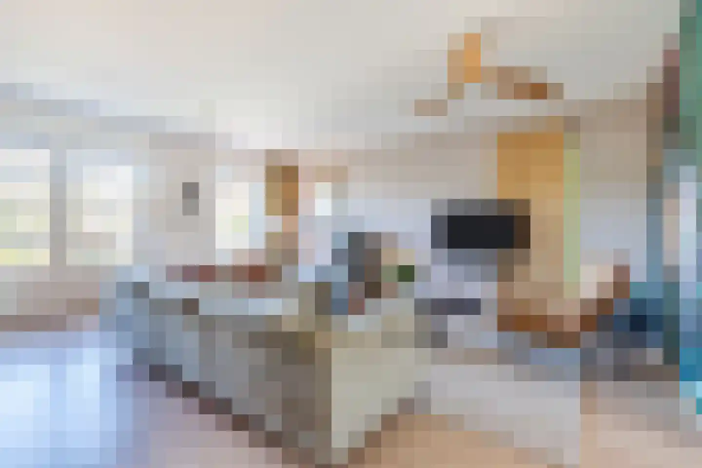 Breugelhof 17 Bosschenhoofd thumbnail 10
