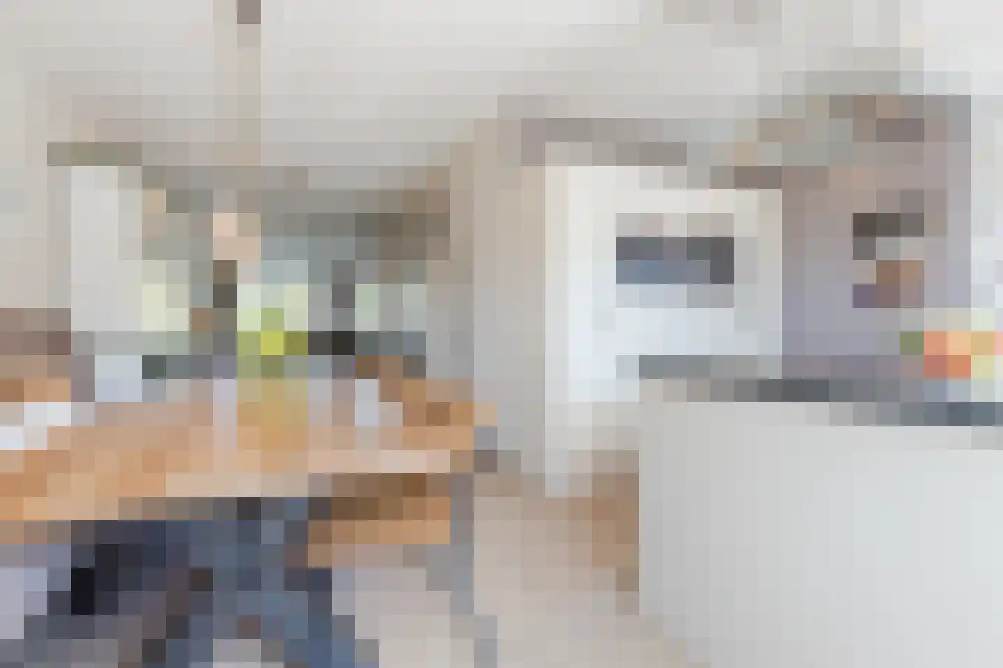 Breugelhof 17 Bosschenhoofd thumbnail 14