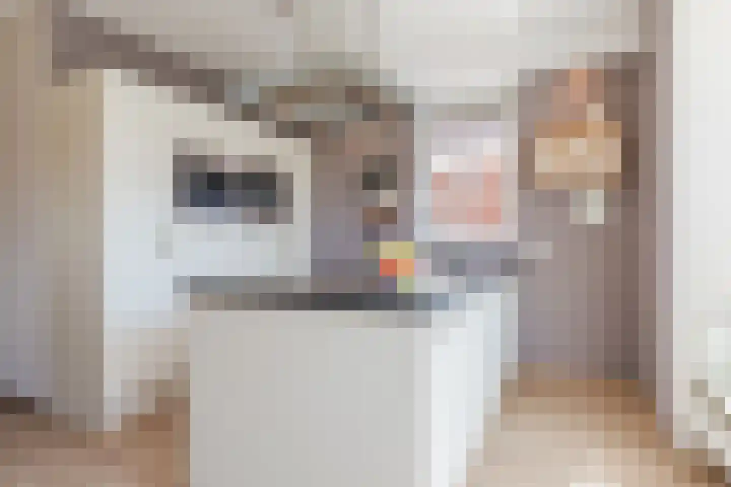 Breugelhof 17 Bosschenhoofd thumbnail 16
