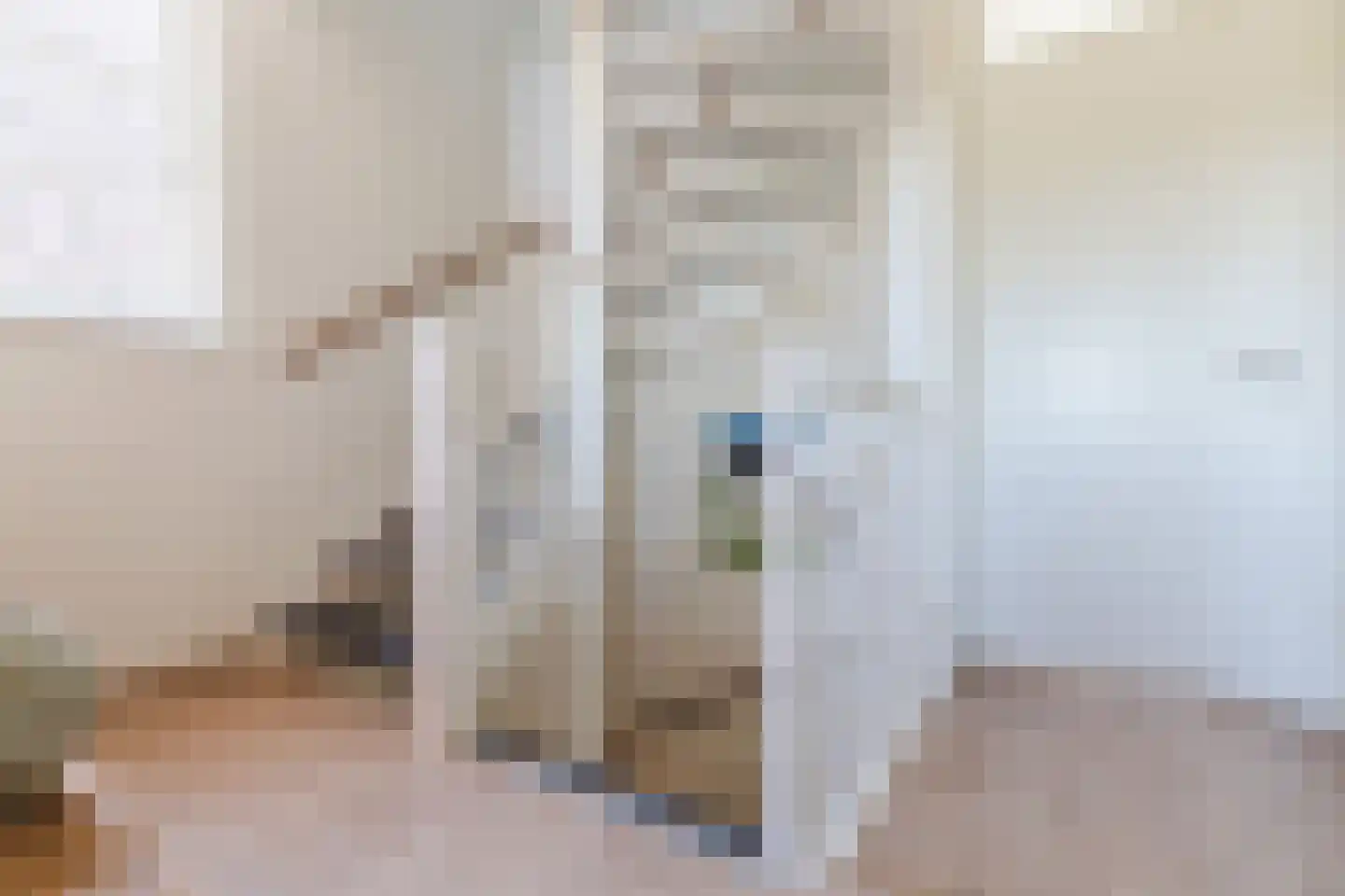 Breugelhof 17 Bosschenhoofd thumbnail 18