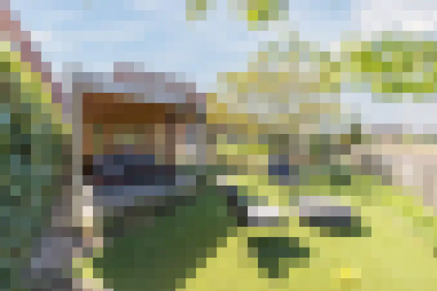 Breugelhof 17 Bosschenhoofd thumbnail 33