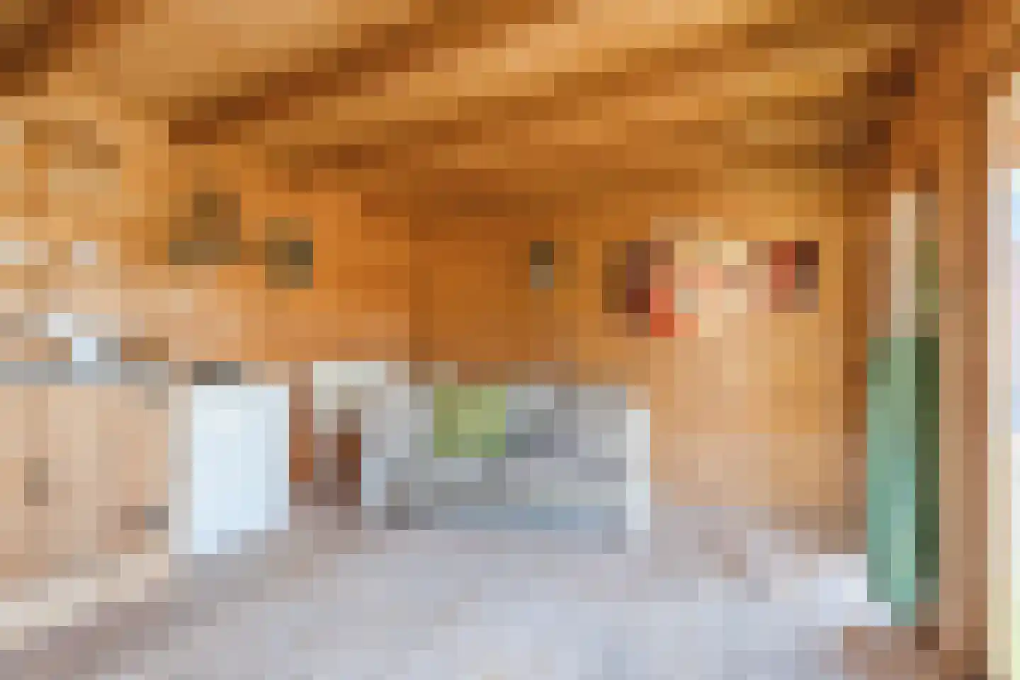 Breugelhof 17 Bosschenhoofd thumbnail 38