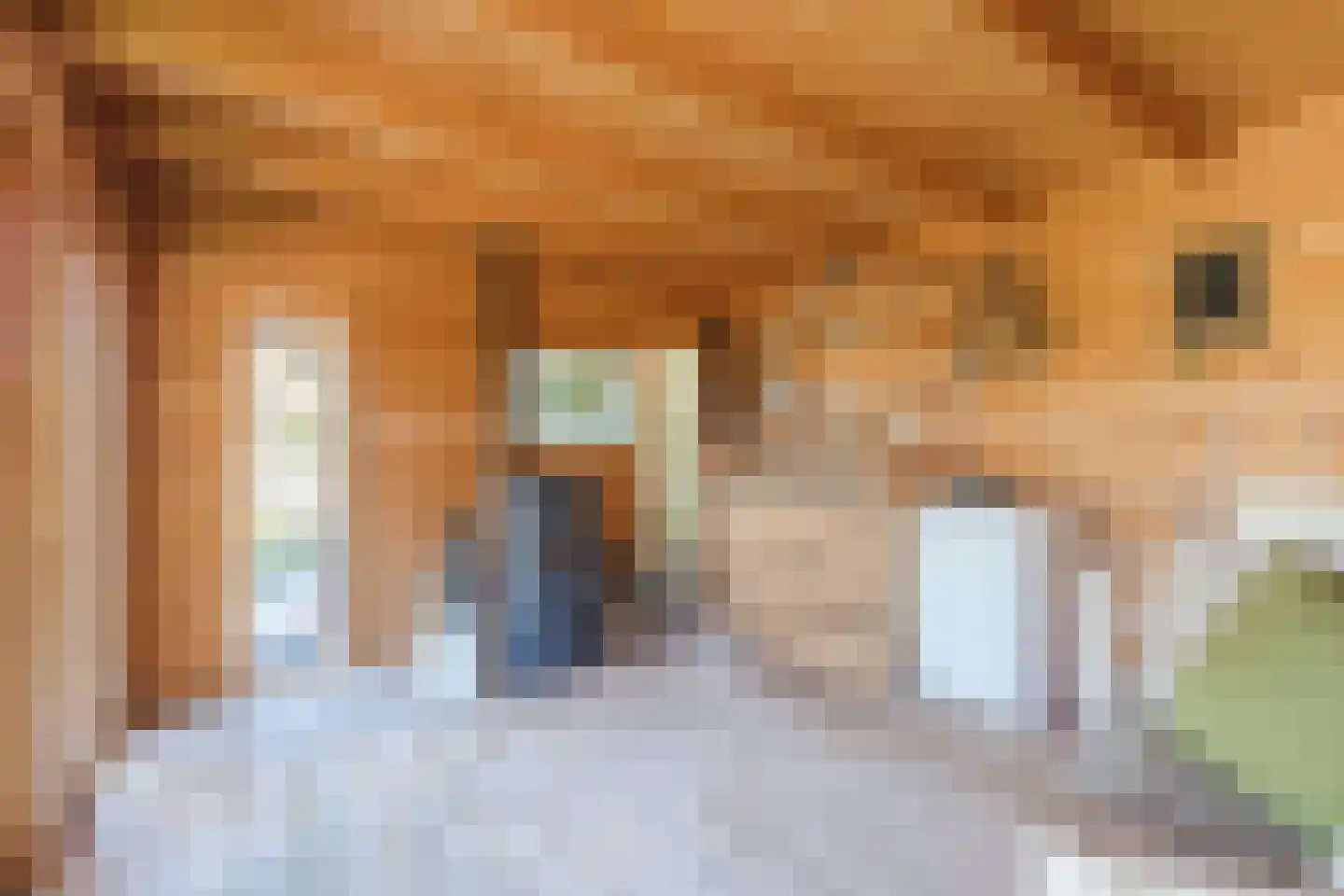 Breugelhof 17 Bosschenhoofd thumbnail 39