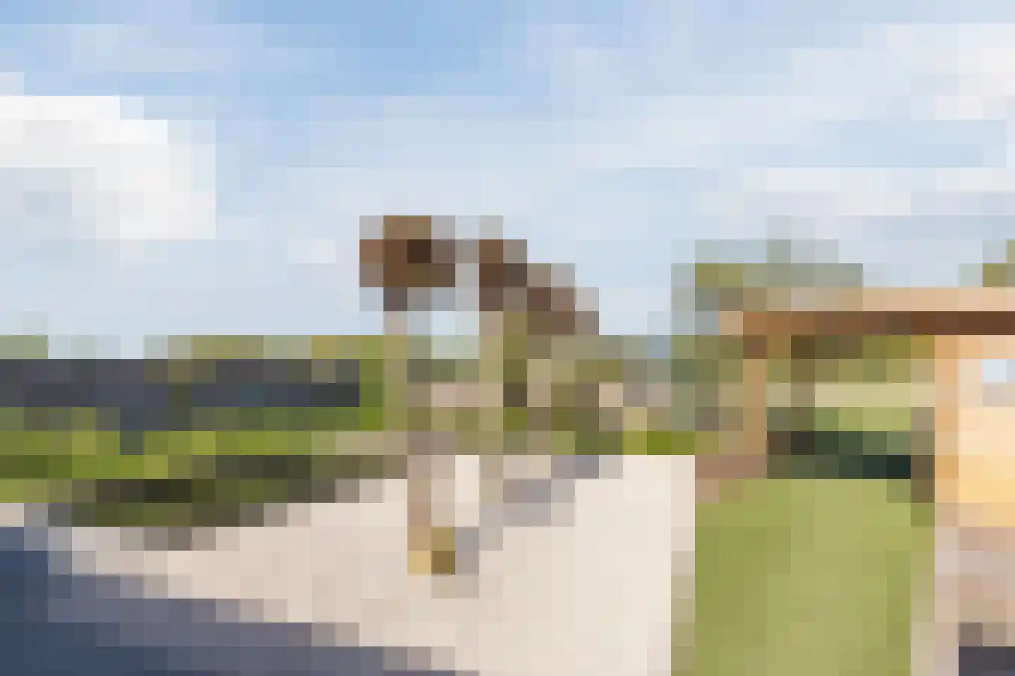 Breugelhof 17 Bosschenhoofd thumbnail 5