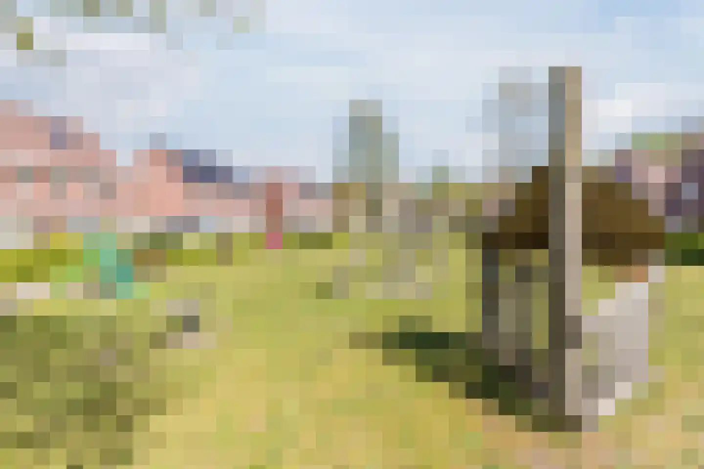 Breugelhof 17 Bosschenhoofd thumbnail 7