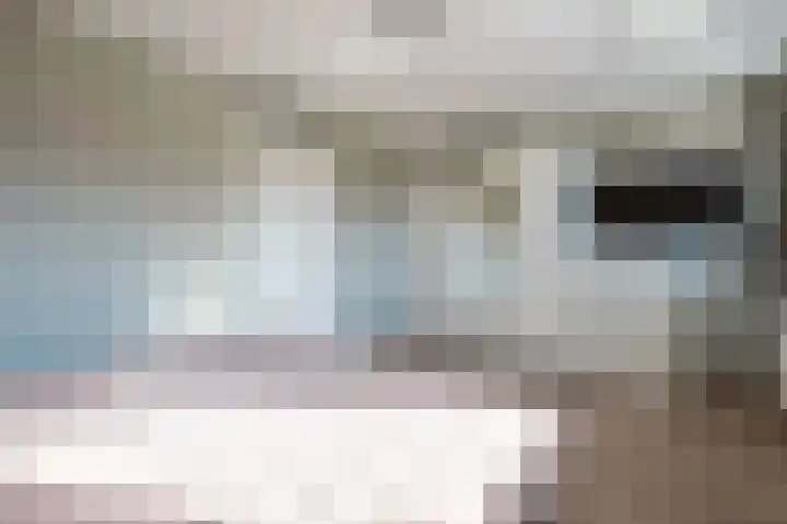 Breugelhof 20 Bosschenhoofd thumbnail 29