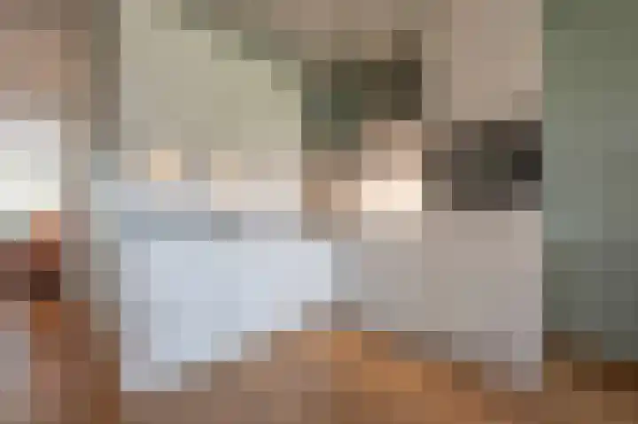 Breugelhof 24 Bosschenhoofd thumbnail 21
