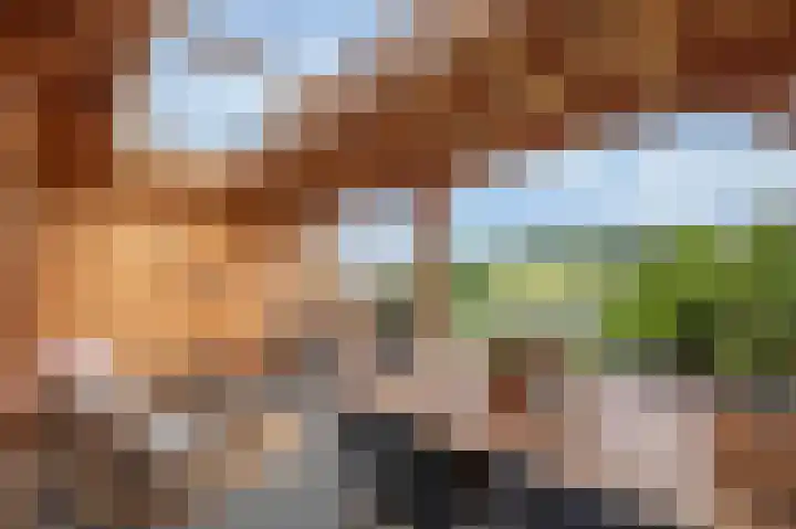 Breugelhof 24 Bosschenhoofd thumbnail 26