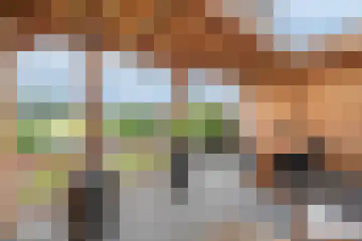 Breugelhof 24 Bosschenhoofd thumbnail 27