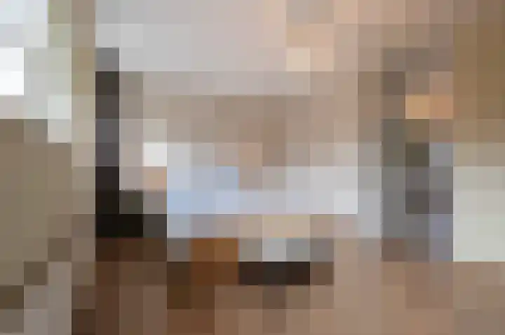 Breugelhof 24 Bosschenhoofd thumbnail 35