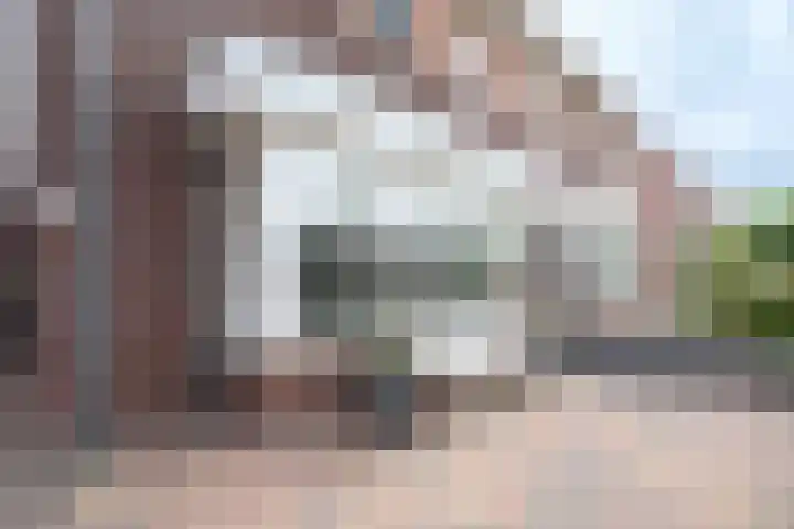 Breugelhof 24 Bosschenhoofd thumbnail 4