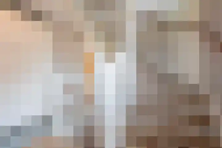 Breugelhof 24 Bosschenhoofd thumbnail 45