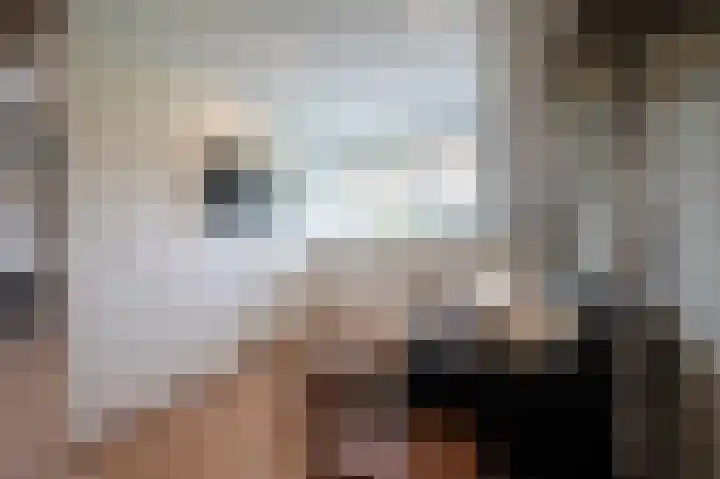 Breugelhof 24 Bosschenhoofd thumbnail 47