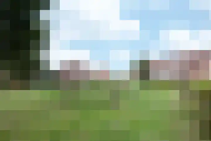 Breugelhof 24 Bosschenhoofd thumbnail 5