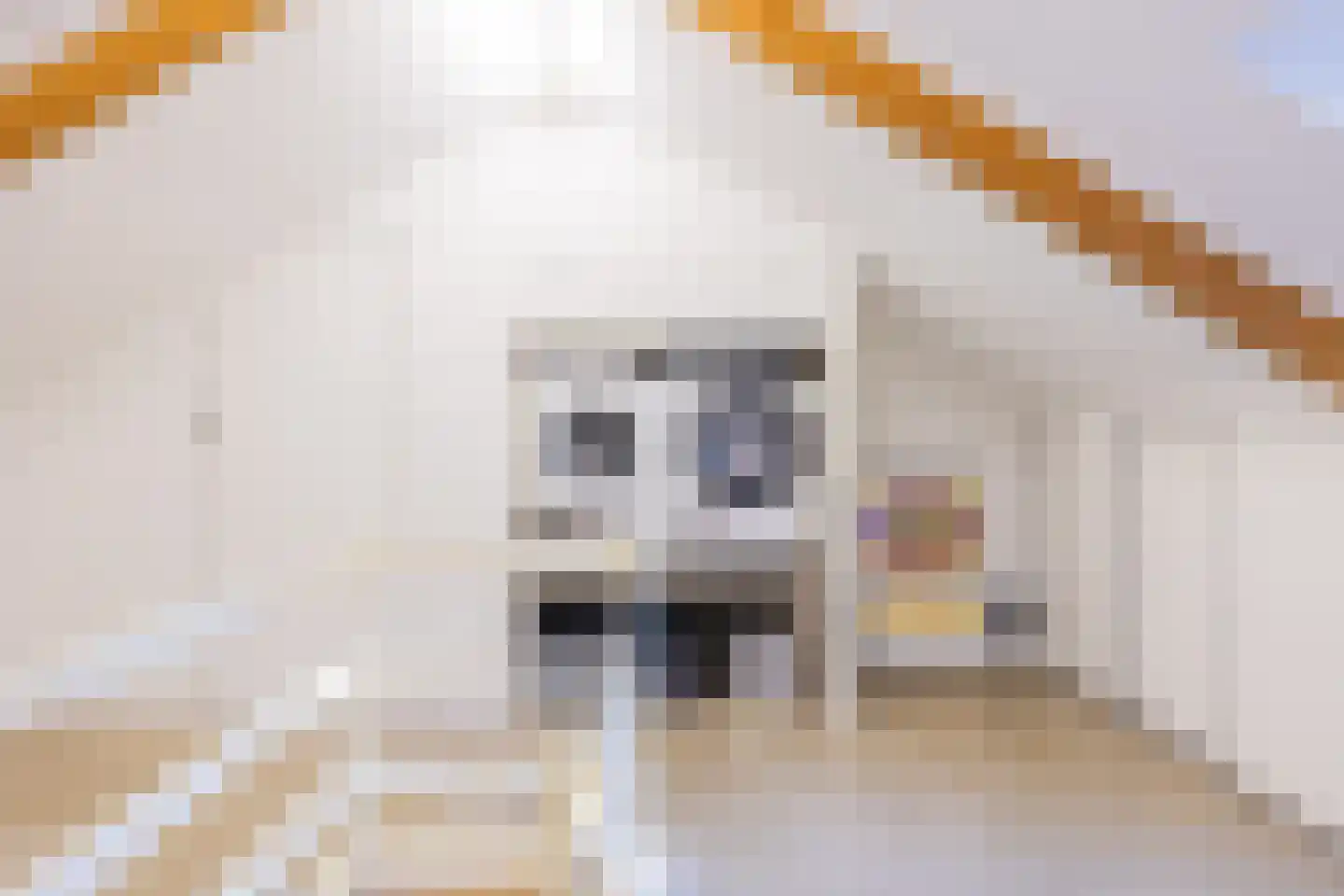 Breughelhof 3 Lichtenvoorde thumbnail 20