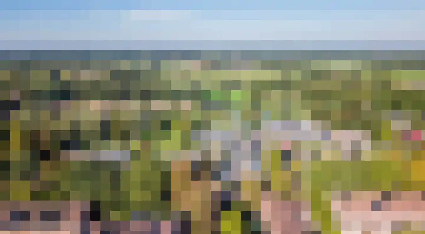 Breughelhof 3 Lichtenvoorde thumbnail 32