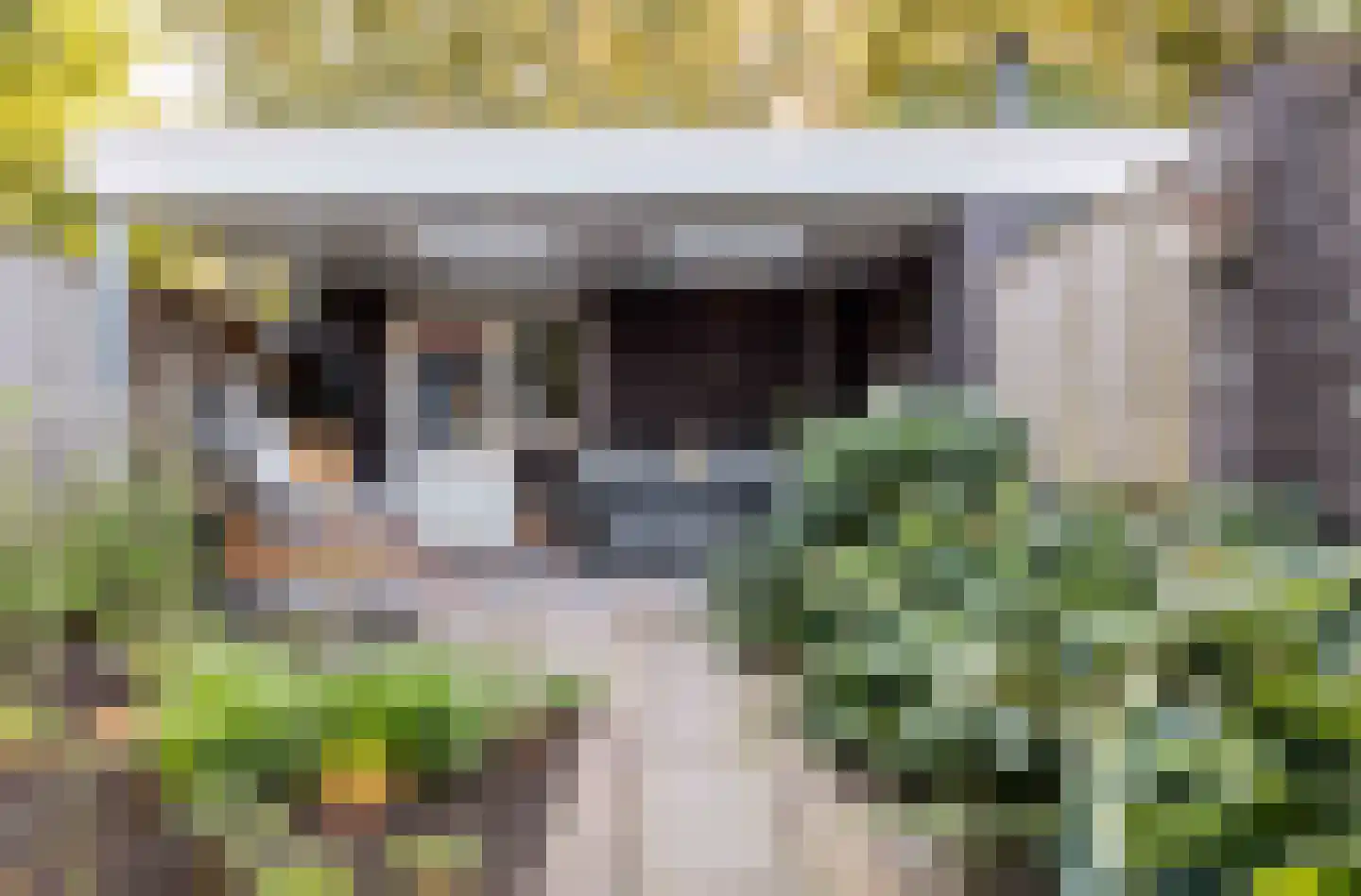 Breughelhof 3 Lichtenvoorde thumbnail 6