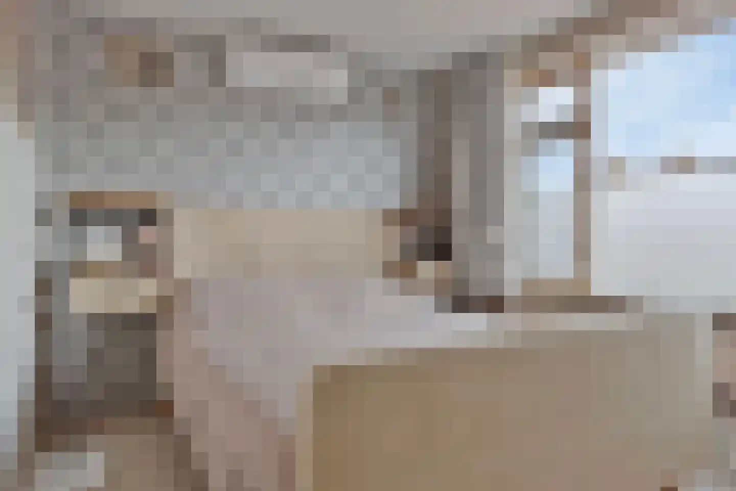 Breughelstraat 26 Krimpen aan den IJssel thumbnail 17