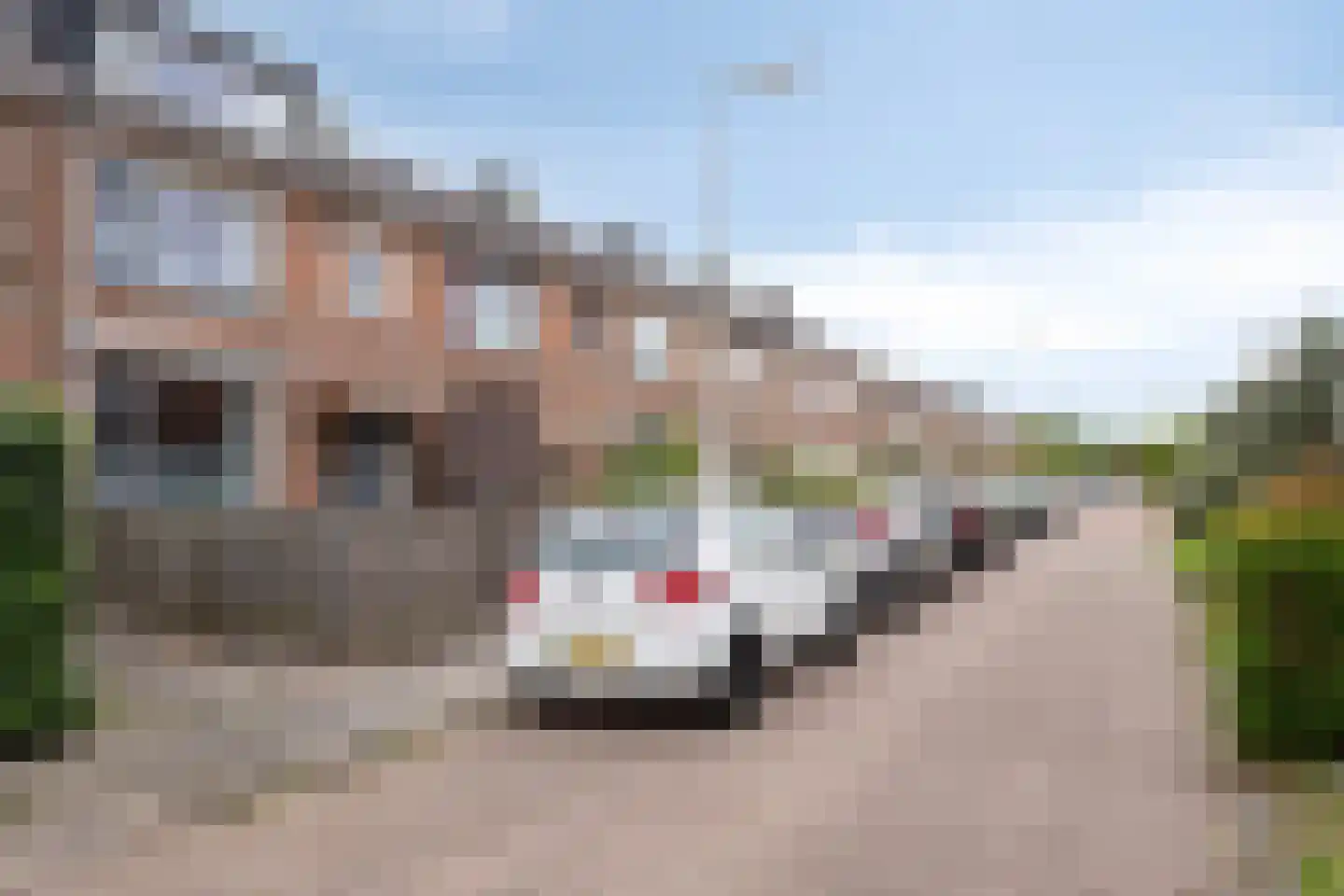 Breughelstraat 26 Krimpen aan den IJssel thumbnail 32