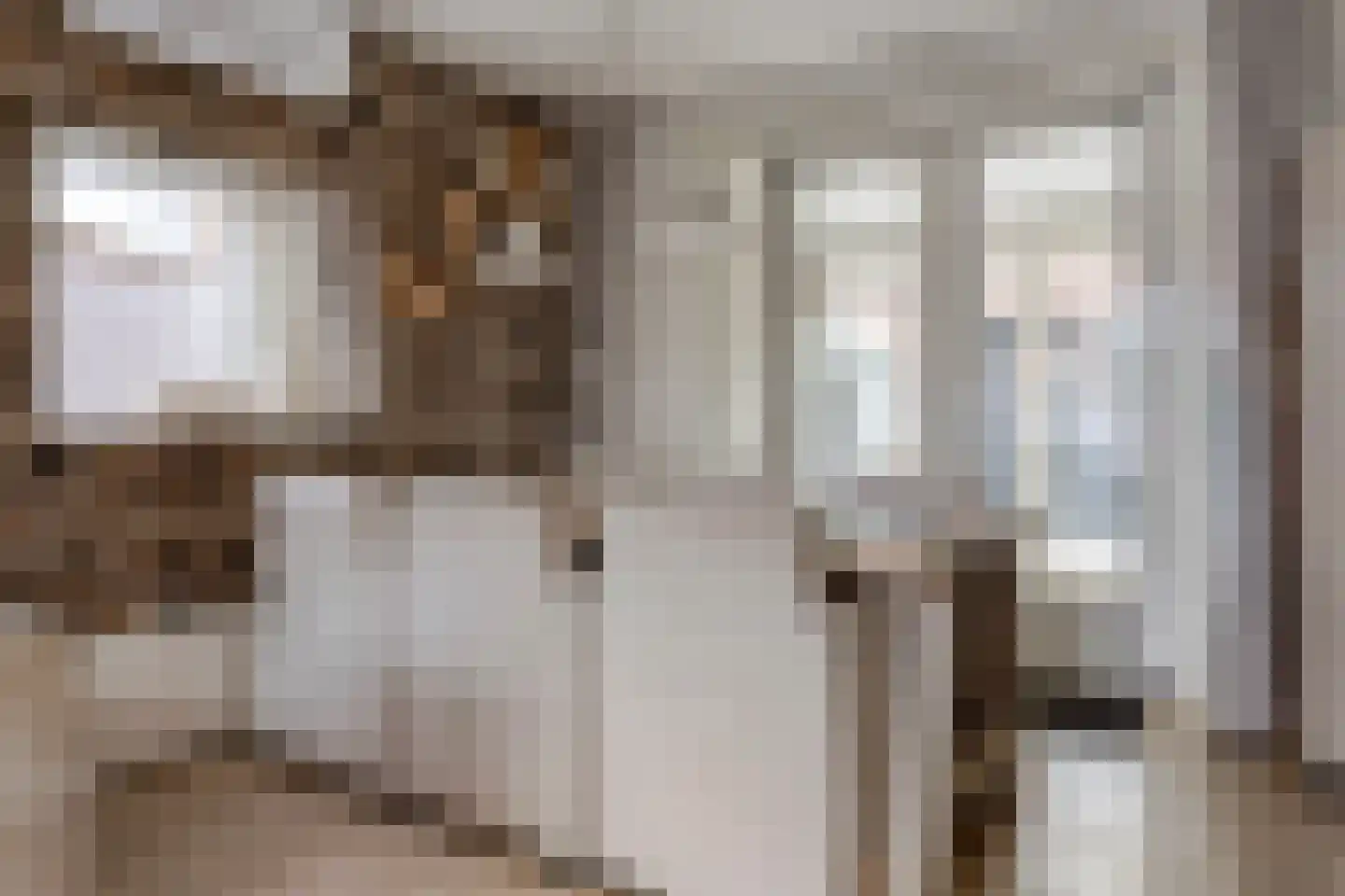 Breughelstraat 26 Krimpen aan den IJssel thumbnail 9